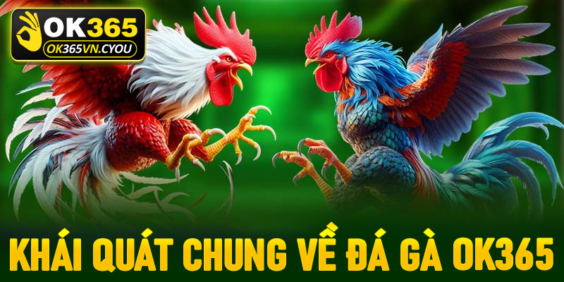 Khái quát chung chung về sảnh cá cược đá gà Ok365