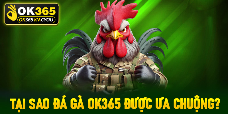 Tại sao sảnh cá cược đá gà Ok365 ngày càn được ưa chuộng?