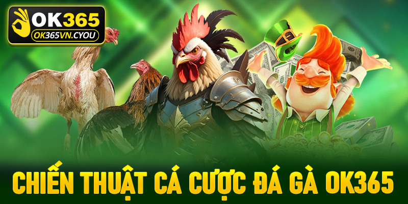 Chiến thuật cá cược đá gà Ok365 vô cùng hiệu quả từ các đại cao thủ truyền lại